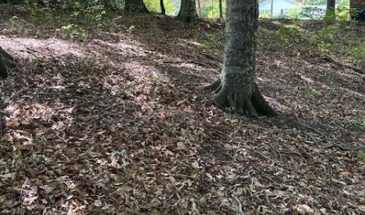 Photo #13 of 917 Lacon Drive, Newport News, Virginia 0.9 acres