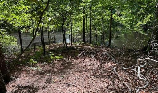 Photo #14 of 917 Lacon Drive, Newport News, Virginia 0.9 acres