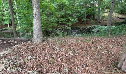 Photo #3 of 917 Lacon Drive, Newport News, Virginia 0.9 acres