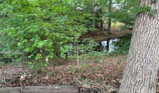 Photo #4 of 917 Lacon Drive, Newport News, Virginia 0.9 acres
