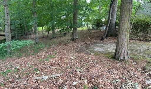 Photo #5 of 917 Lacon Drive, Newport News, Virginia 0.9 acres