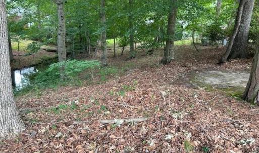 Photo #6 of 917 Lacon Drive, Newport News, Virginia 0.9 acres
