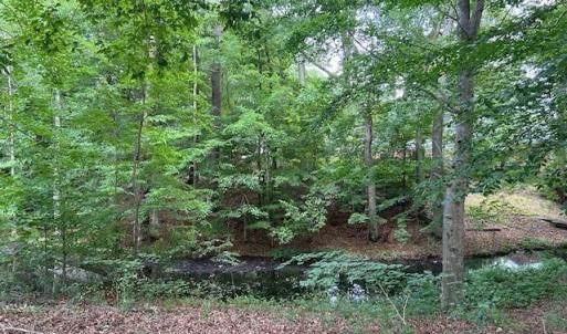 Photo #7 of 917 Lacon Drive, Newport News, Virginia 0.9 acres