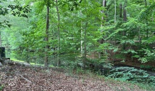 Photo #8 of 917 Lacon Drive, Newport News, Virginia 0.9 acres