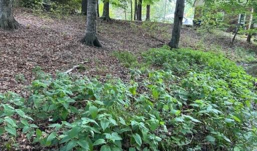 Photo #11 of 158 Highwood Circle, Newport News, Virginia 0.9 acres