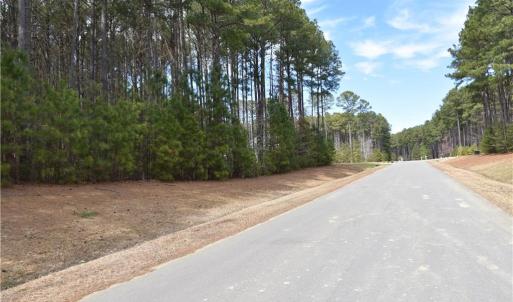 Photo #2 of 1314 Lawnes Neck Drive, Smithfield, Virginia 3.3 acres