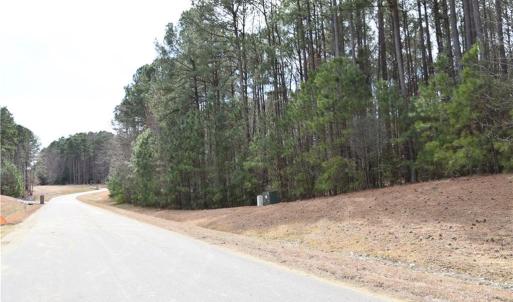 Photo #3 of 1314 Lawnes Neck Drive, Smithfield, Virginia 3.3 acres