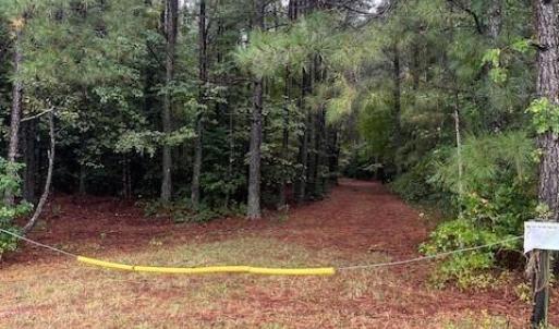 Photo #4 of 333AC Willis Road, Gloucester, Virginia 333.0 acres