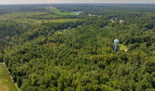 Photo #11 of 26+AC Nottoway Drive, Courtland, Virginia 26.7 acres