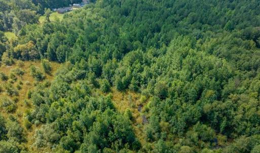 Photo #14 of 26+AC Nottoway Drive, Courtland, Virginia 26.7 acres