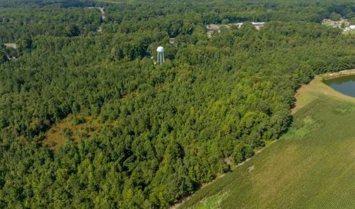 Photo #5 of 26+AC Nottoway Drive, Courtland, Virginia 26.7 acres