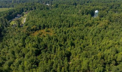 Photo #7 of 26+AC Nottoway Drive, Courtland, Virginia 26.7 acres
