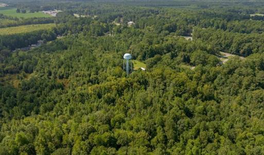 Photo #9 of 26+AC Nottoway Drive, Courtland, Virginia 26.7 acres