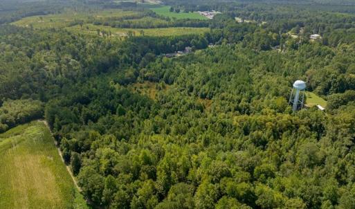 Photo #10 of 26+AC Nottoway Drive, Courtland, Virginia 26.7 acres