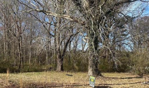 Photo #3 of 3725 Cornland Road, Chesapeake, Virginia 4.9 acres
