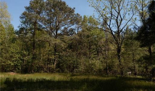 Photo #22 of 2048 Twiggs Ferry Road, Hartfield, Virginia
