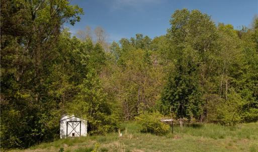 Yard Area
