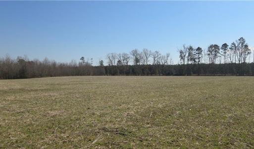 Photo #1 of 17+AC Taylorsville Road, Shacklefords, Virginia 17.5 acres