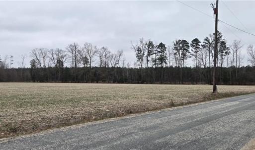 Photo #11 of 17+AC Taylorsville Road, Shacklefords, Virginia 17.5 acres