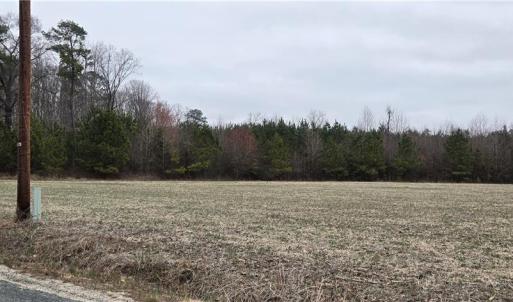 Photo #12 of 17+AC Taylorsville Road, Shacklefords, Virginia 17.5 acres
