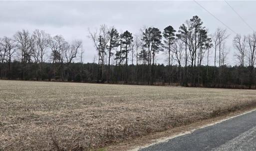 Photo #13 of 17+AC Taylorsville Road, Shacklefords, Virginia 17.5 acres