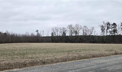 Photo #14 of 17+AC Taylorsville Road, Shacklefords, Virginia 17.5 acres