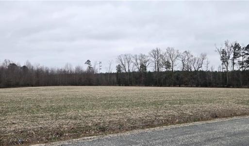 Photo #16 of 17+AC Taylorsville Road, Shacklefords, Virginia 17.5 acres