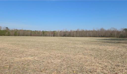 Photo #3 of 17+AC Taylorsville Road, Shacklefords, Virginia 17.5 acres