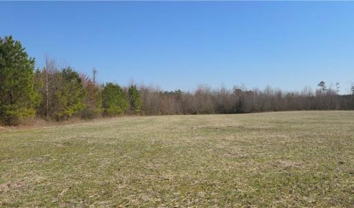 Photo #4 of 17+AC Taylorsville Road, Shacklefords, Virginia 17.5 acres