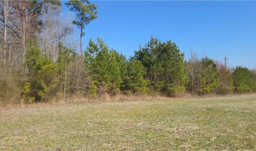 Photo #5 of 17+AC Taylorsville Road, Shacklefords, Virginia 17.5 acres