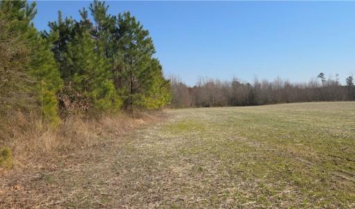 Photo #6 of 17+AC Taylorsville Road, Shacklefords, Virginia 17.5 acres