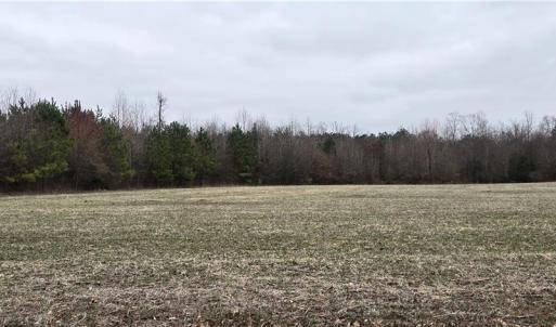 Photo #7 of 17+AC Taylorsville Road, Shacklefords, Virginia 17.5 acres