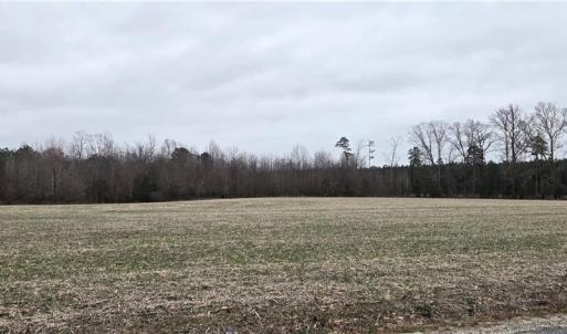 Photo #8 of 17+AC Taylorsville Road, Shacklefords, Virginia 17.5 acres