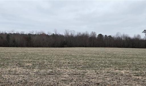 Photo #9 of 17+AC Taylorsville Road, Shacklefords, Virginia 17.5 acres