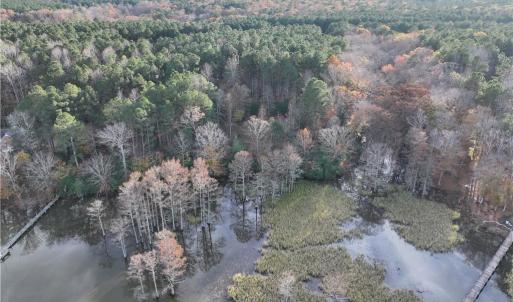 Photo #4 of 13400 Morris Creek Crescent, Charles City, Virginia 10.6 acres