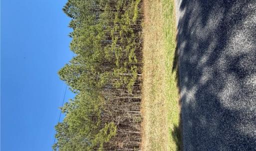 Photo #1 of 44AC Harrell Mill Rd Road, Wakefield, Virginia 44.0 acres