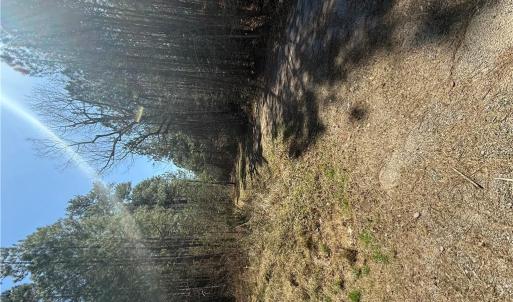 Photo #4 of 44AC Harrell Mill Rd Road, Wakefield, Virginia 44.0 acres