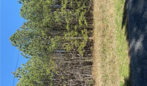 Photo #6 of 44AC Harrell Mill Rd Road, Wakefield, Virginia 44.0 acres