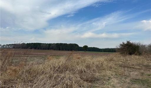Photo #13 of 4381 Desert Road, Suffolk, Virginia 109.0 acres