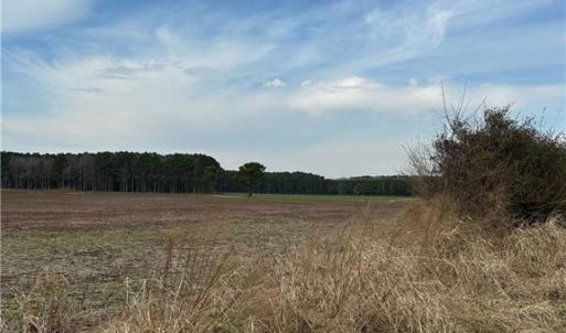 Photo #4 of 4381 Desert Road, Suffolk, Virginia 109.0 acres