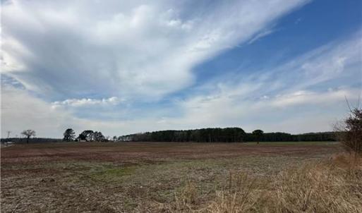 Photo #5 of 4381 Desert Road, Suffolk, Virginia 109.0 acres