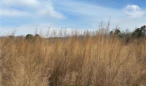 Photo #7 of 4381 Desert Road, Suffolk, Virginia 109.0 acres