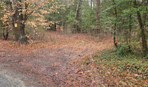 Driveway with road frontage
