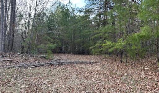 Photo #1 of 9789 Honey Tree Court, Gloucester, Virginia 8.1 acres