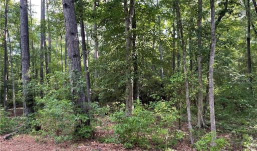 Photo #1 of 1.9ac Two Rivers Trail, Lanexa, Virginia 1.9 acres
