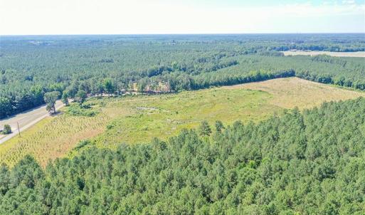 Photo #5 of 25+AC Courthouse Road, Waverly, Virginia 25.4 acres