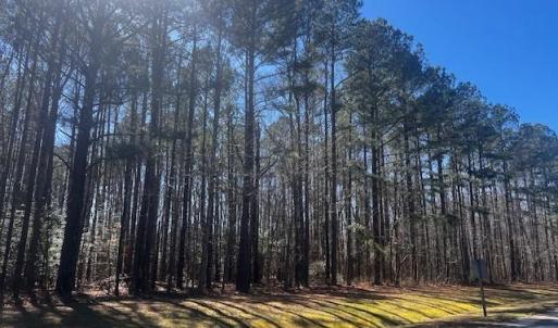 Photo #1 of Lot 39 Steamboat La Betz Landing Lane, Heathsville, Virginia 2.3 acres