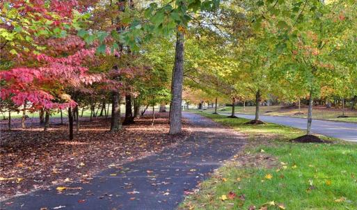 Neighborhood Trail