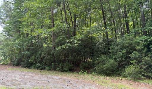 Photo #4 of LOT 28 Rivers Knoll, Heathsville, Virginia 2.7 acres