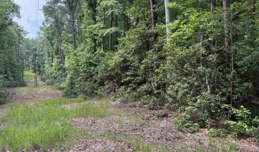 Photo #3 of Lot 24 Rivers Knoll, Heathsville, Virginia 3.5 acres